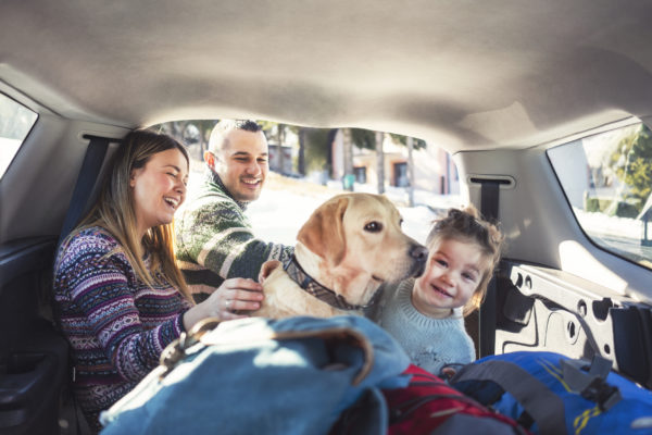 15 Common Sense Tips for Traveling Safely this Holiday Season